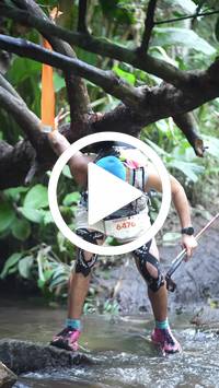 BIB:  <button type="button" onclick="openModal(27808593)" class="btn btn-primary btn-sm float-right" data-toggle="modal" data-target=".modal-high-quality">
                <i class="fa fa-download"></i> Download
                </button>